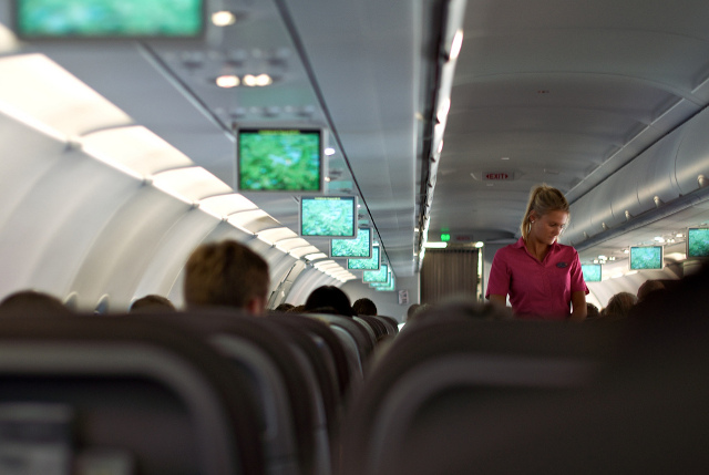 Flight Attendant Horror Stories Oyster Com