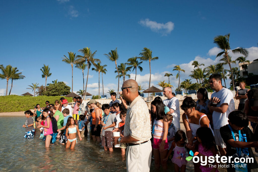 Jw Marriott Ihilani Resort And Spa At Ko Olina Review What