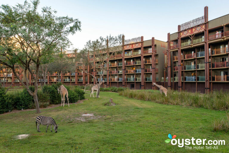 Disney’s Animal Kingdom Lodge - The Standard Room at the Disney's ...