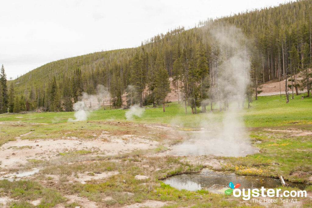 Explorer Cabins At Yellowstone Review What To Really Expect If