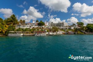 bacalar oyster