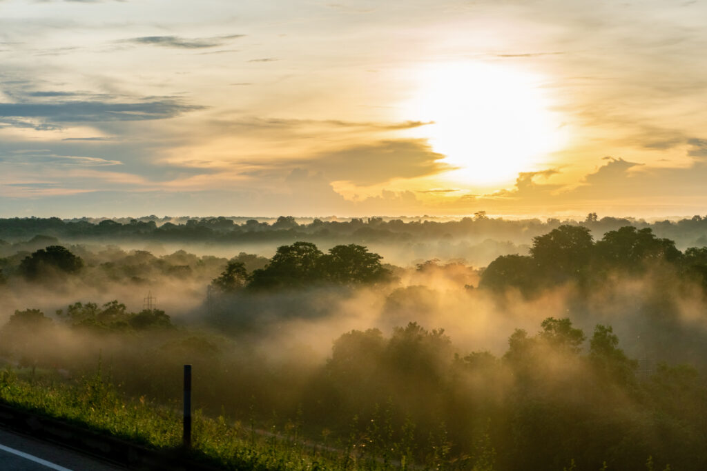 14 Things You Should Know Before Traveling To Sri Lanka Oyster Com