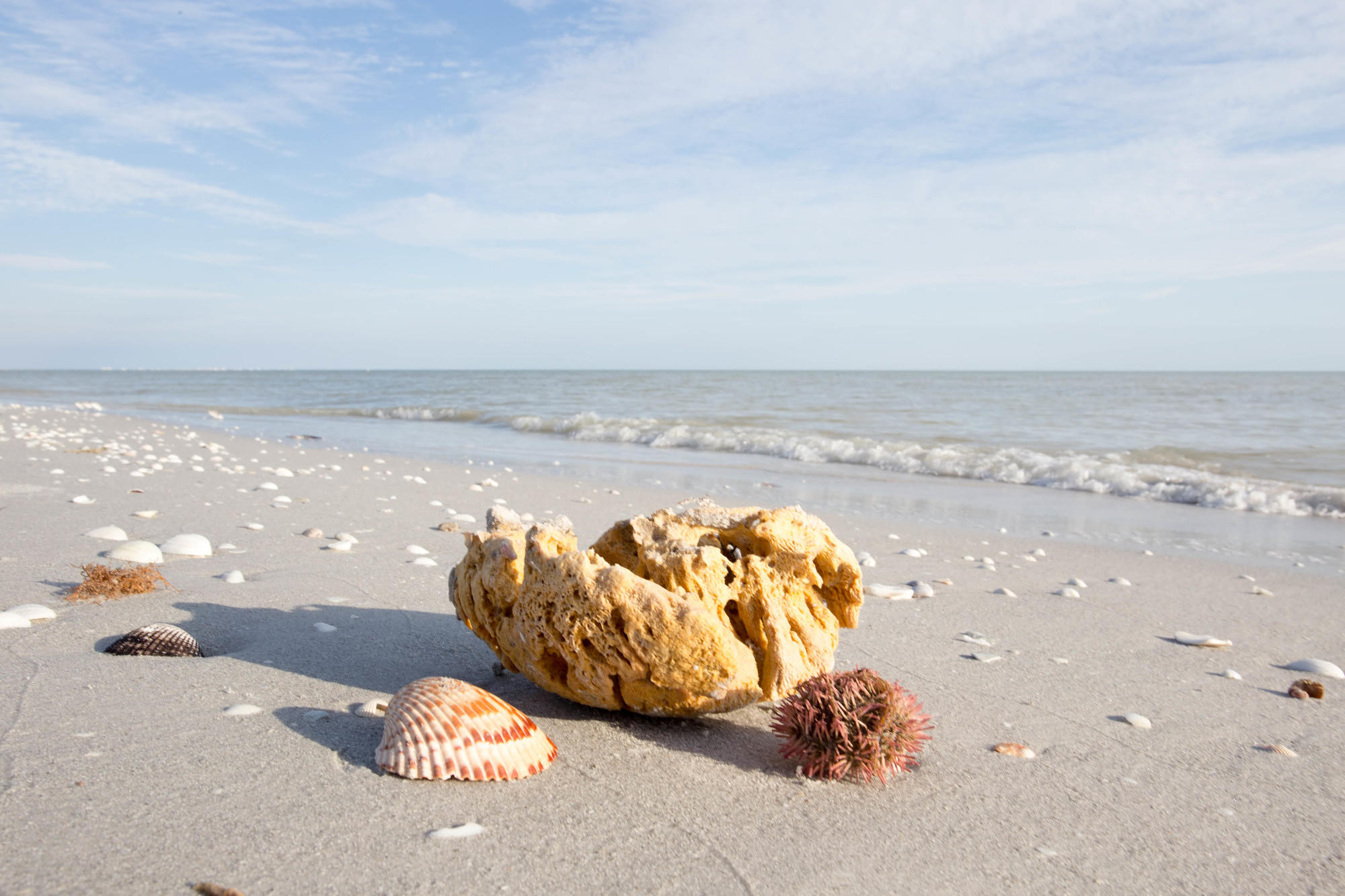 9 Off The Radar Florida Islands You Need To Visit Oystercom - 