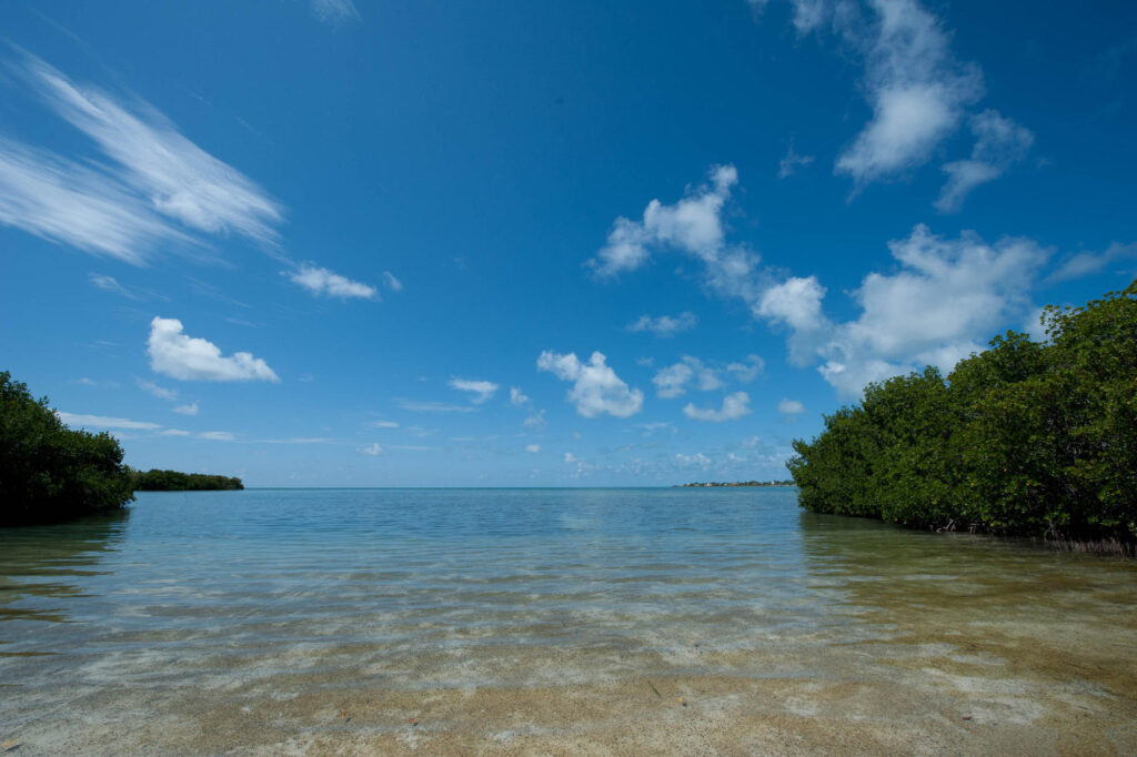 5 Must Stop Island Spots In The Florida Keys Oyster Com