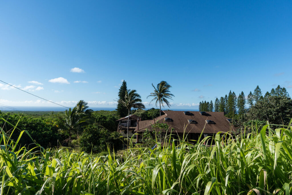 Grounds at the Big Island Bed & Breakfast