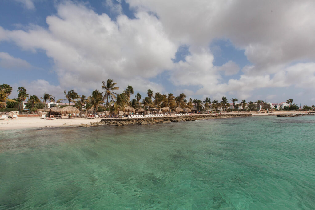 Beach at the Plaza Resort Bonaire