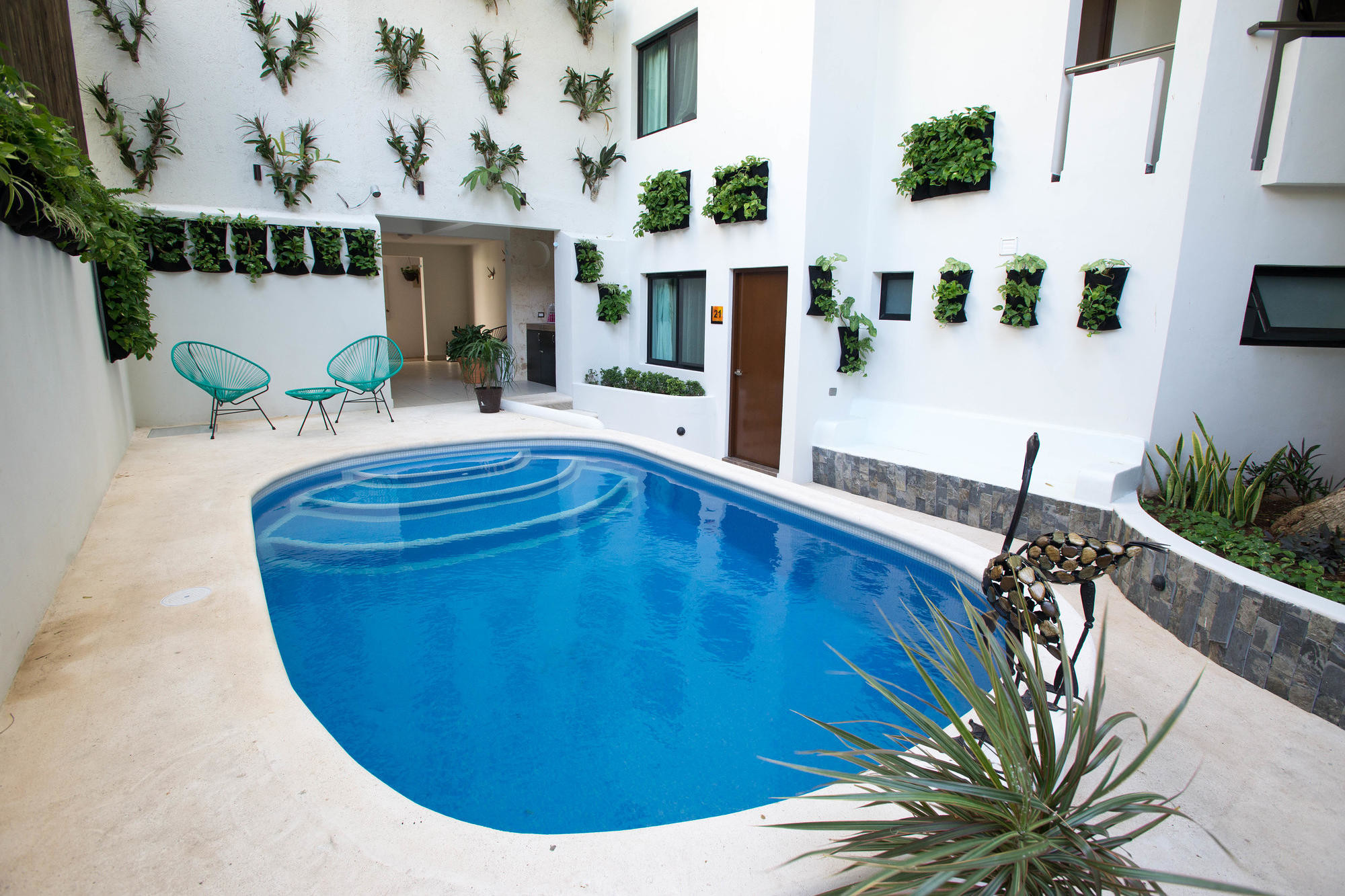 One of the Pools at Casa Ticul in Playa del Carmen/Oyster