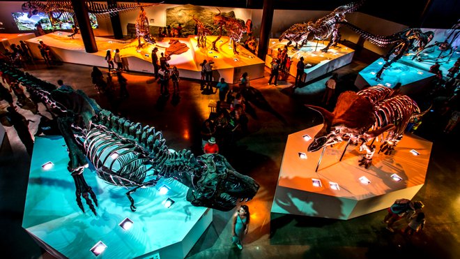 Salão de Paleontologia do Museu de Ciências Naturais de Houston. Foto cedida pelo Greater Houston Convention and Visitors Bureau