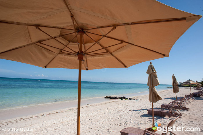 Nação de Relaxamento: Beach at Tortuga Bay