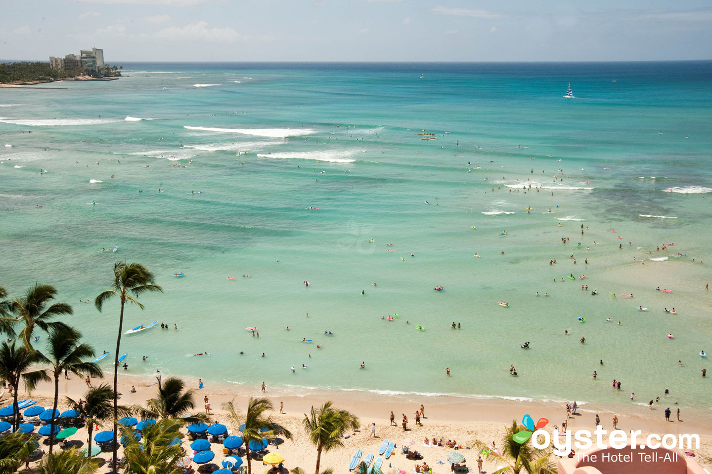 Waikiki Beach, Oahu/Oyster