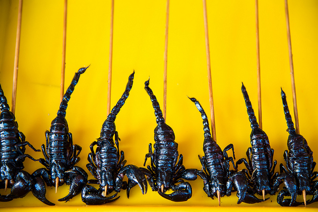 Schwarzer Skorpion, Foto von Kenneth Moore via Flickr