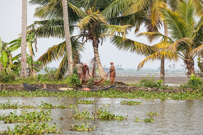 Backwater image du Kerala avec l'aimable autorisation de Tom Godber via Flickr