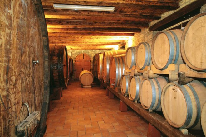 Wine cellar courtesy of Colours of Istria