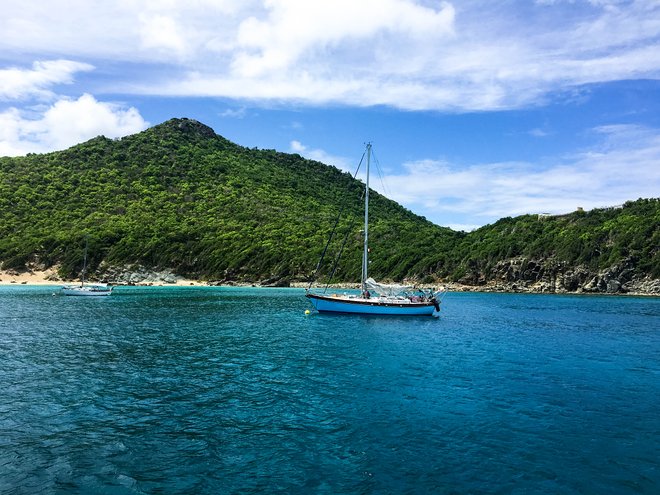 Plage du Colombier / Huître