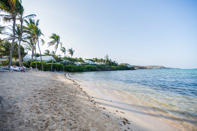 Plage à l'hôtel Le Sereno / Huître