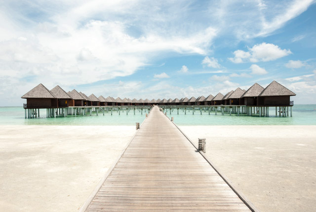 Olhuveli Beach & Spa Resort / Ostra