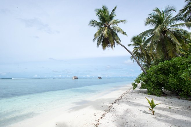 The Beach Villa no Resort Ilha Medhufushi / Oyster