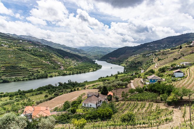Douro Valley; Teddie Bridget Proctor/Flickr