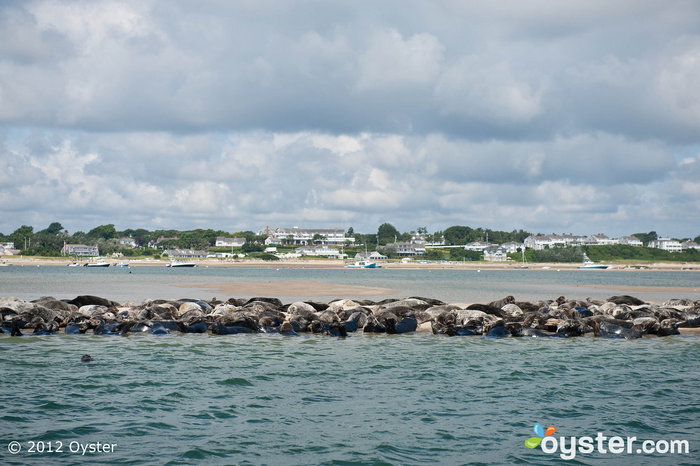 Cape Cod a une ambiance détendue et confortable.