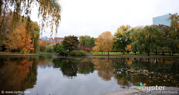 Follaje de otoño en el parque principal de la ciudad.