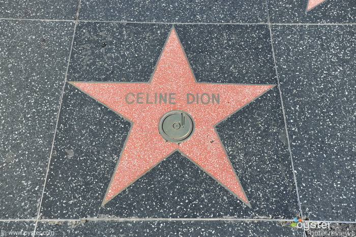 Celine Dion protagonista sulla Hollywood Walk of Fame