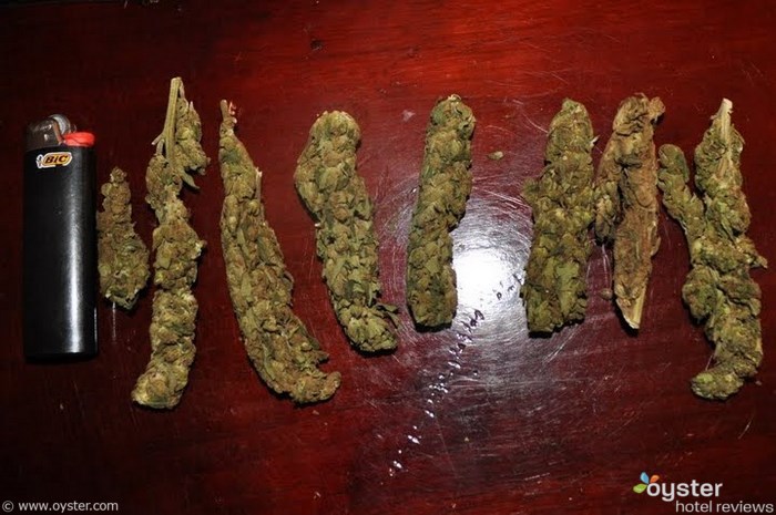 In Jamaika wird Marihuana in der Höhe und nicht im Gewicht gemessen.