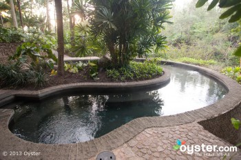 La piscine chauffée au Blancaneaux Lodge à Belize est juste sur l'agrément vert étonnamment luxueux