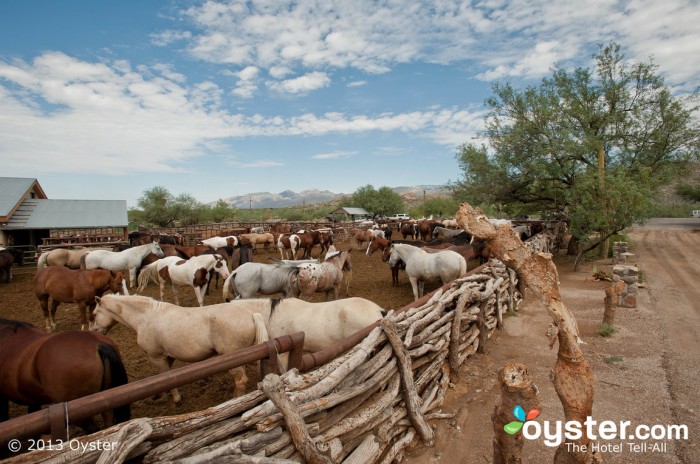 Für eine wahre Wüstenflucht ist Tucsons Tanque Verde Ranch schwer zu schlagen.