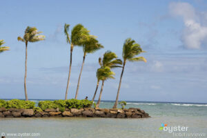 The Kissing Point at the Kahala Hotel and Reosrt