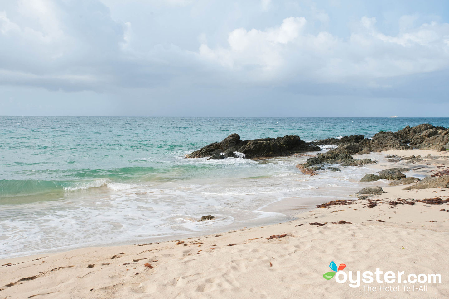 See It Before It's Gone: The Bioluminescent Bay of Vieques  Oyster.com