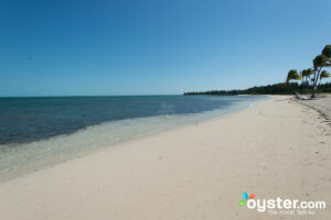 Old Bahama Bay/Oyster