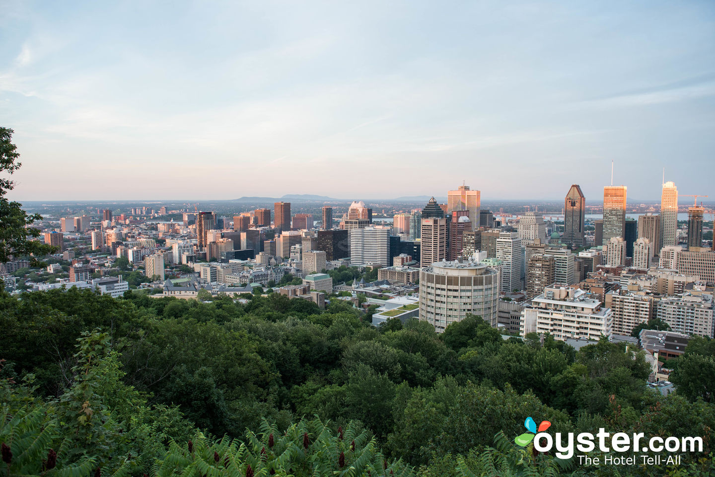 Montreal/Oyster