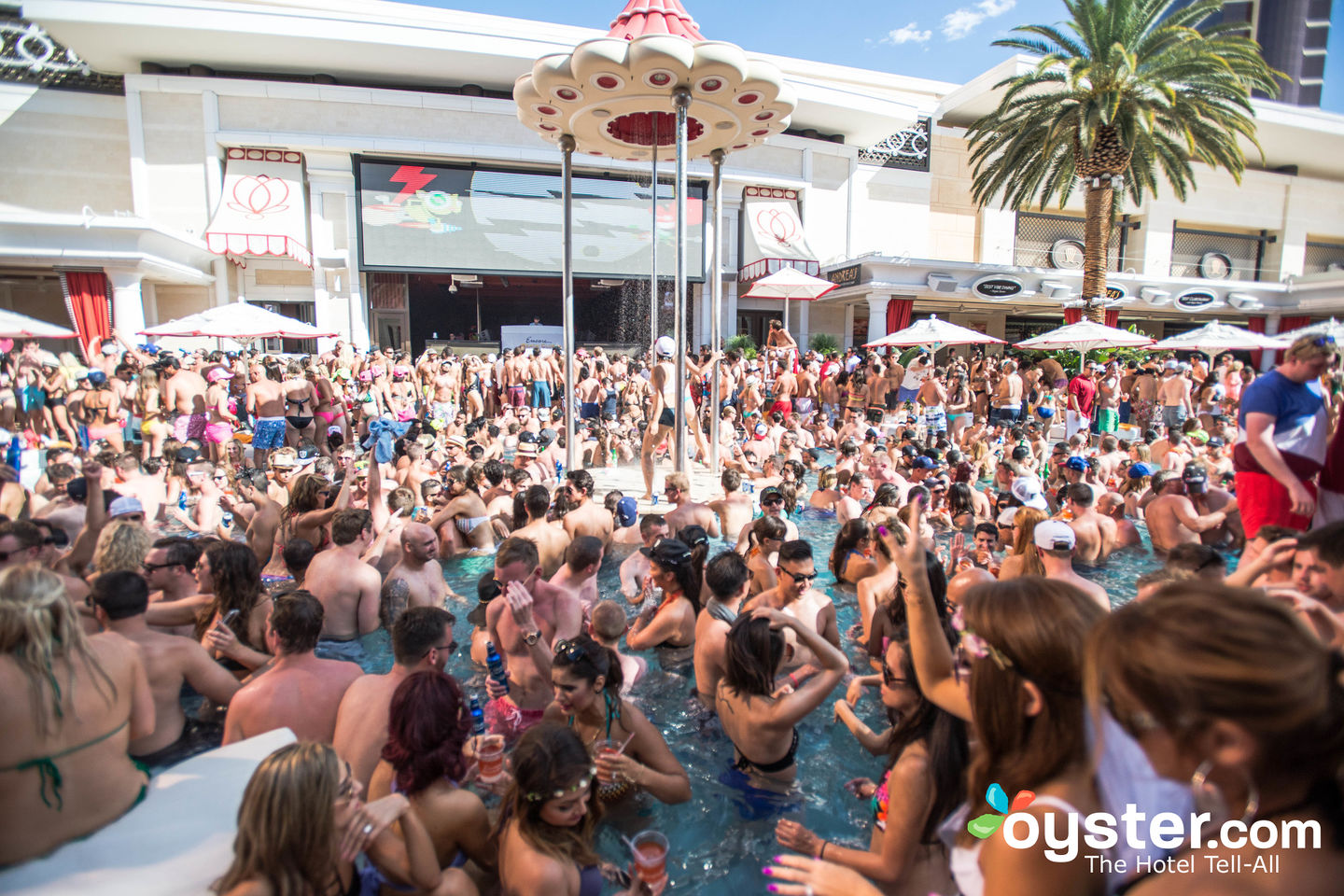 Just Announced! Opening Dates for 2015's Hottest Vegas Pool Parties