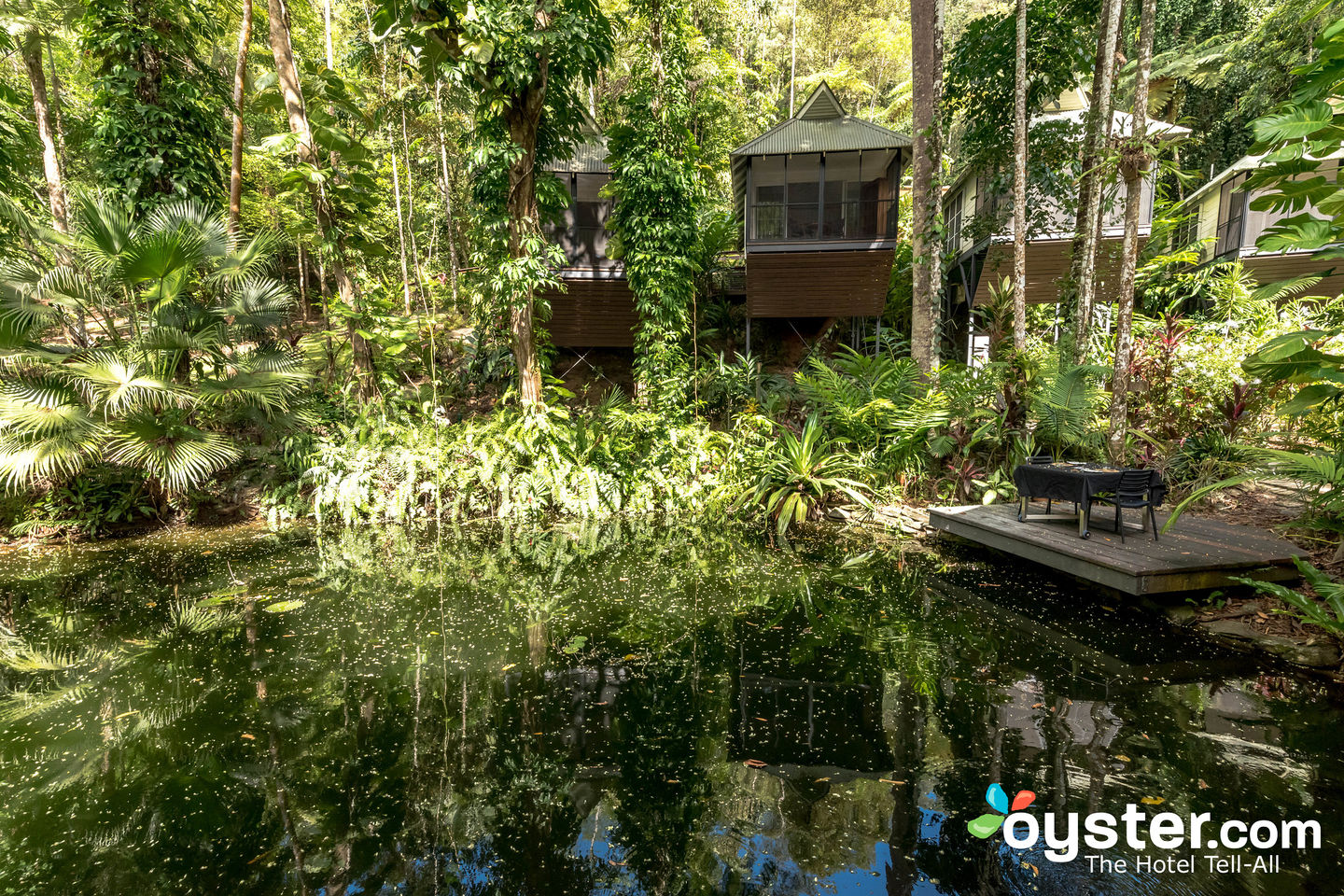 Daintree EcoLodge, Queensland/Oyster