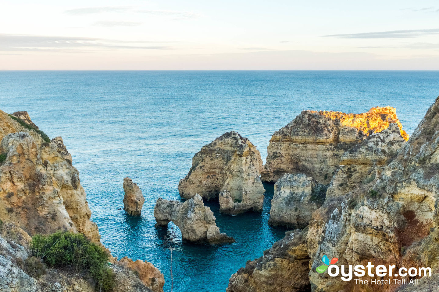 Lagos, Portugal/Oyster