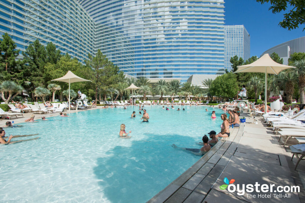 The Pool at ARIA Resort & Casino/Oyster