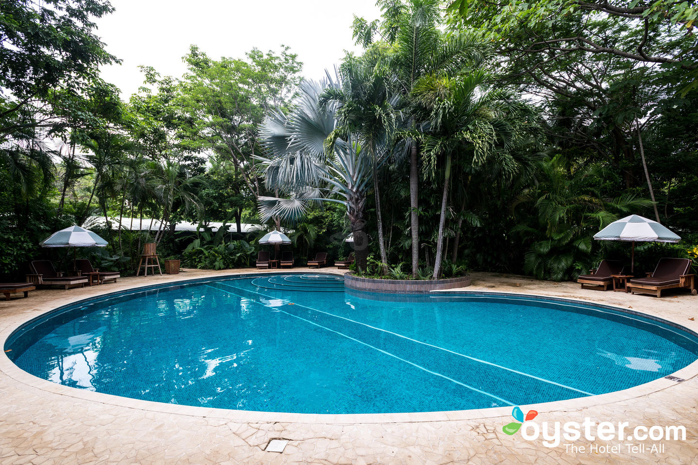 BODHI TREE YOGA RESORT - Updated 2024 Prices & Hotel Reviews (Nosara, Costa  Rica)