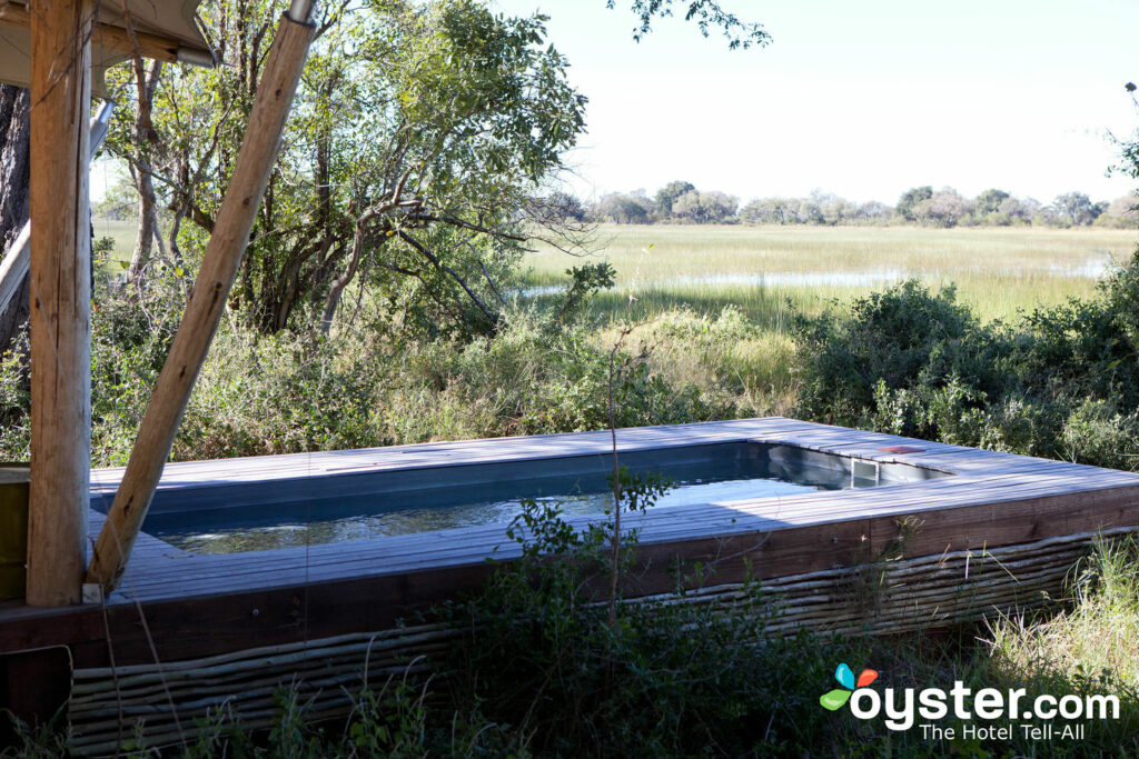 oyster pools raglan garden centre