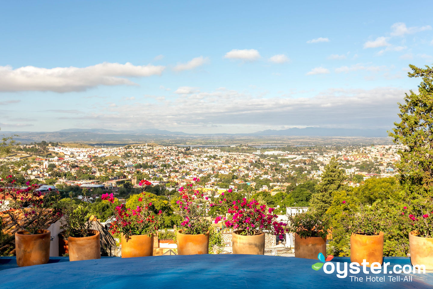 Terrace at Mansion San Miguel/Oyster