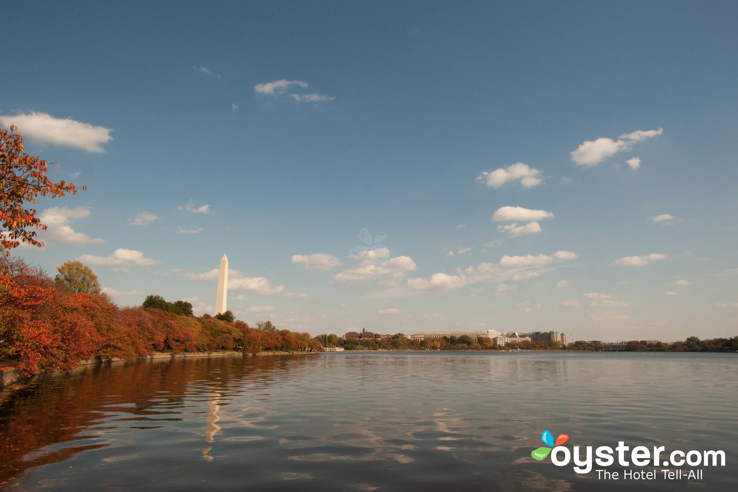 Tidal Basin/Oyster