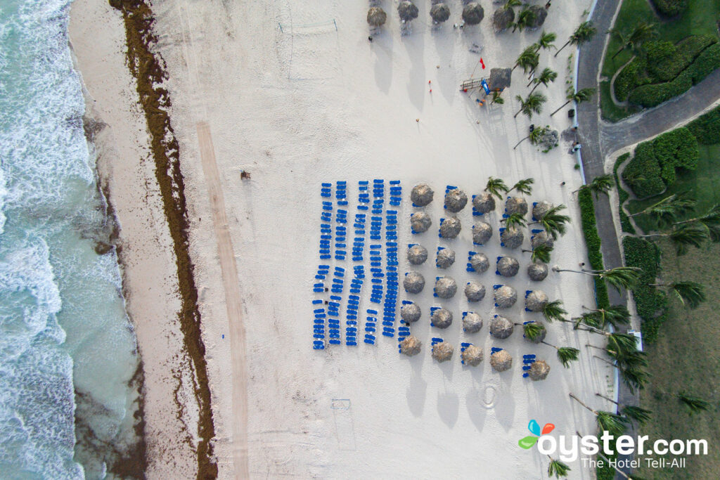 Beach at Hard Rock Hotel & Casino in Punta Cana/Oyster