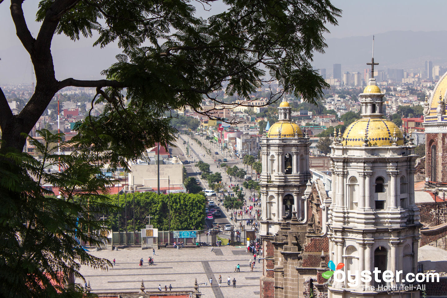 Capilla del Cerrito, Mexico City/Oyster