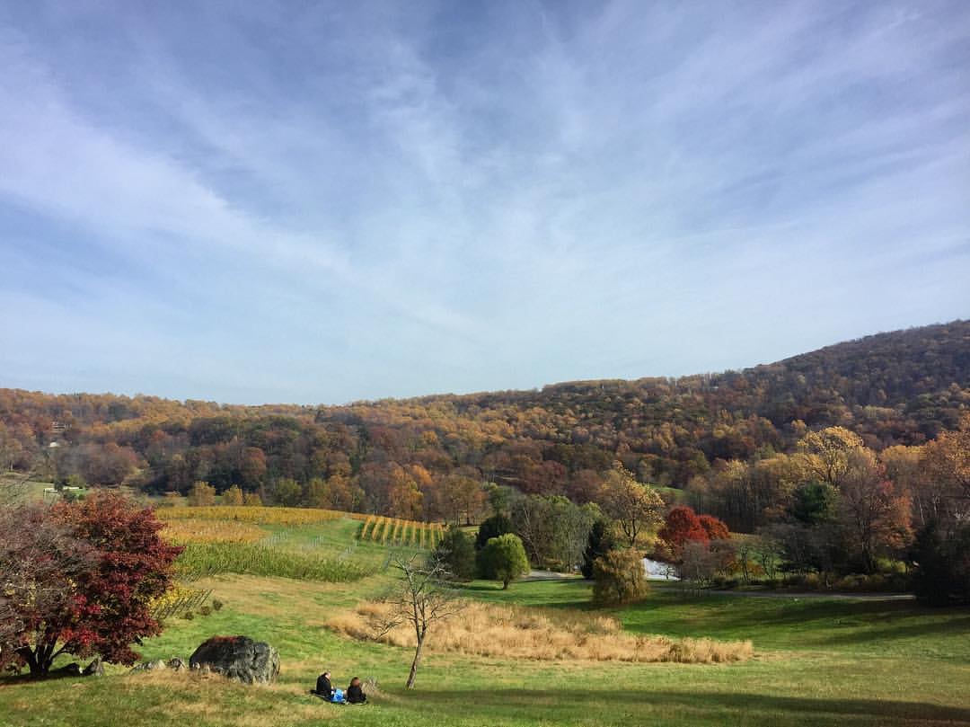 Linden Vineyards, Virginia