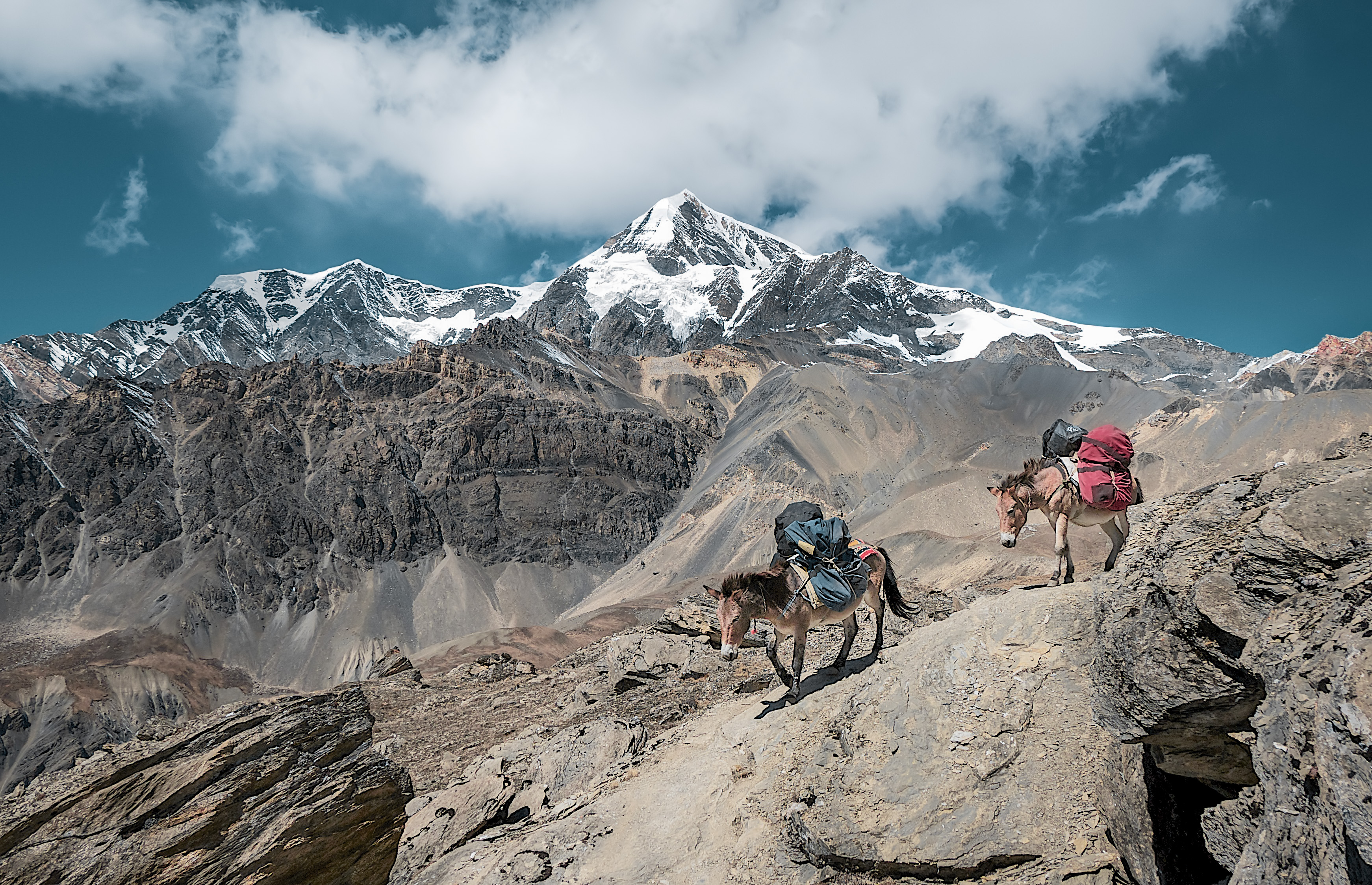 Hiking in Nepal