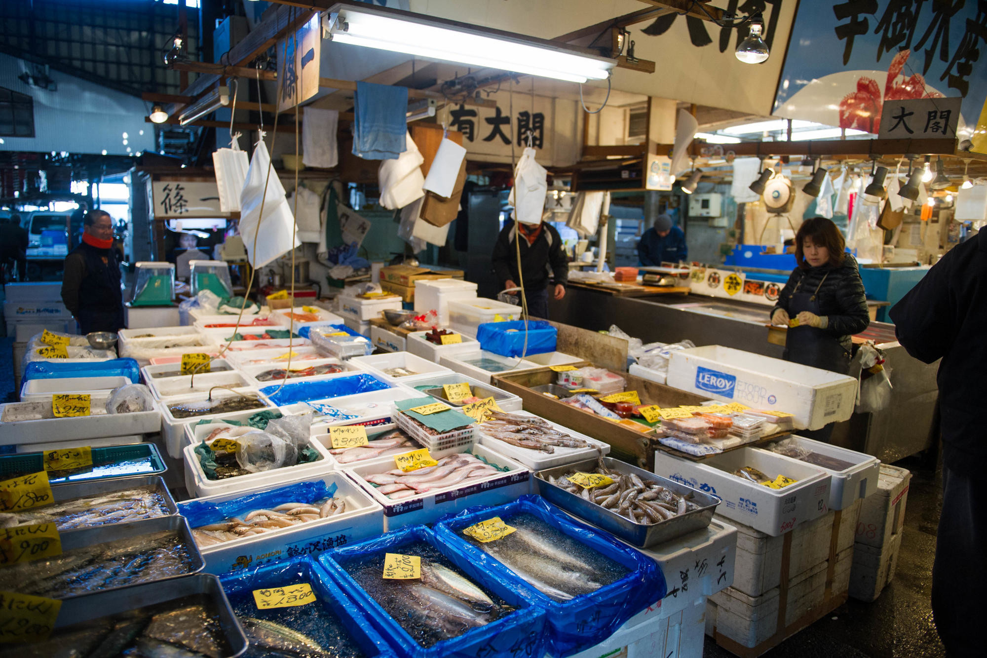 Tokyo's main fish market -- Toyosu -- is now located offshore