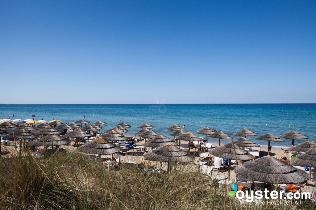 Strand bei Masseria Torre Coccaro / Oyster