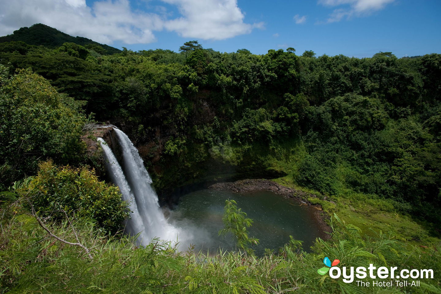 Opaekaa Falls in Kauai, Hawaii/Oyster