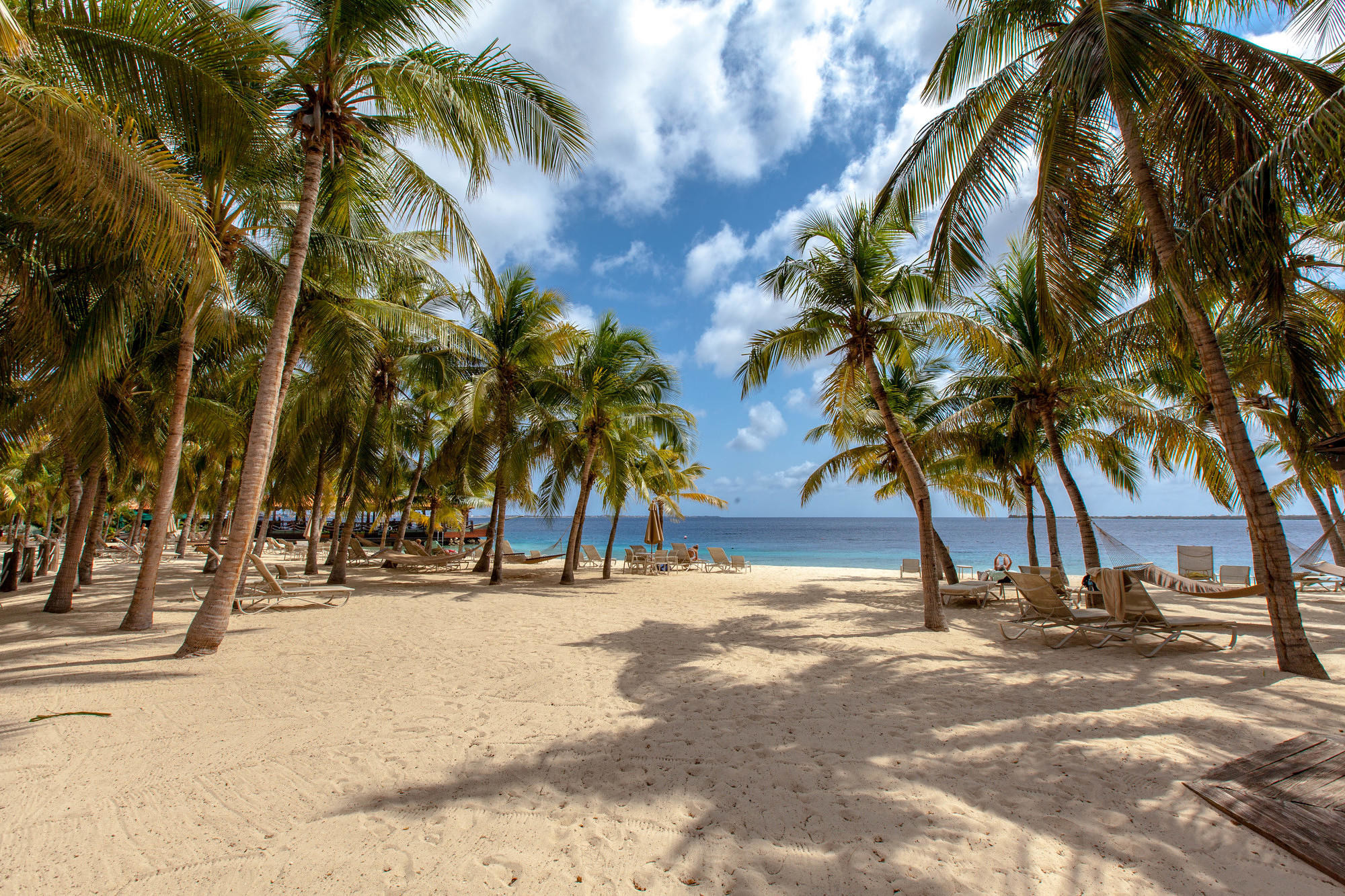 The Safest Places To Visit In The Caribbean Oyster