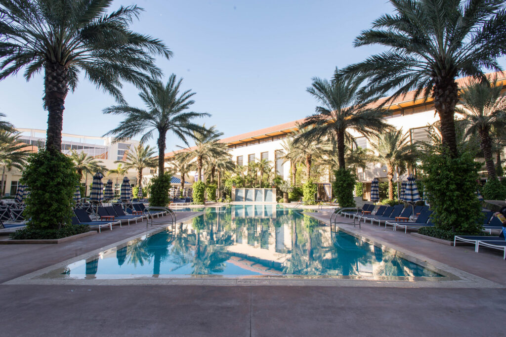 The Pool at the Hilton West Palm Beach