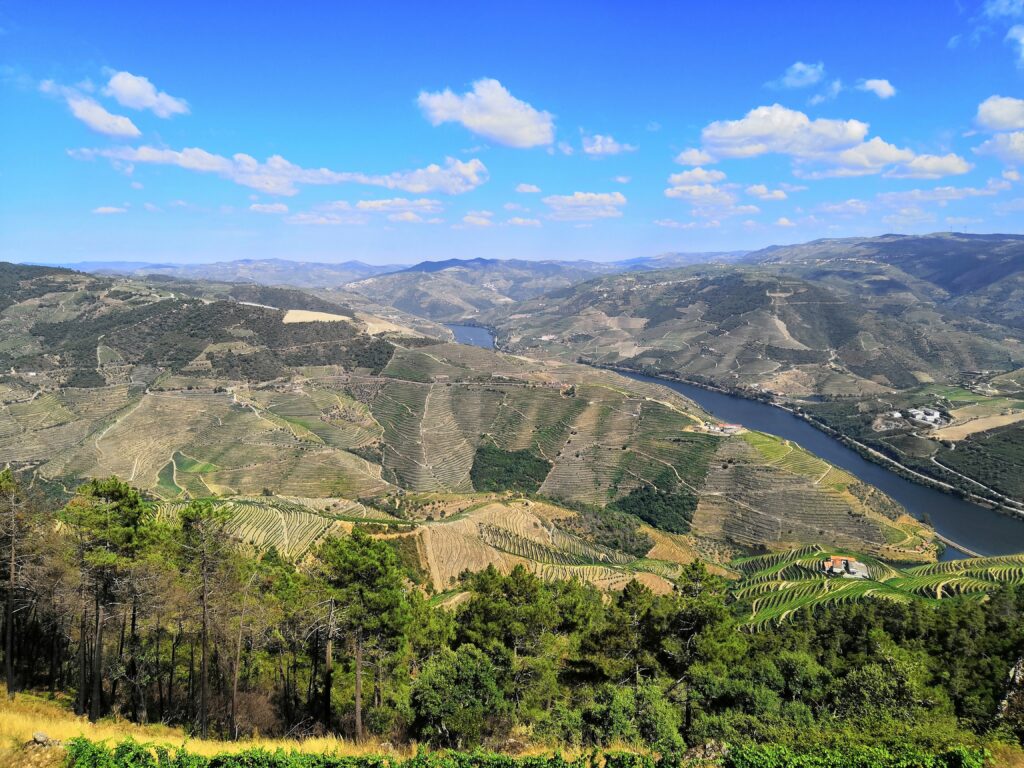 Douro Valley view